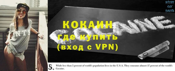 ГАЛЛЮЦИНОГЕННЫЕ ГРИБЫ Горняк