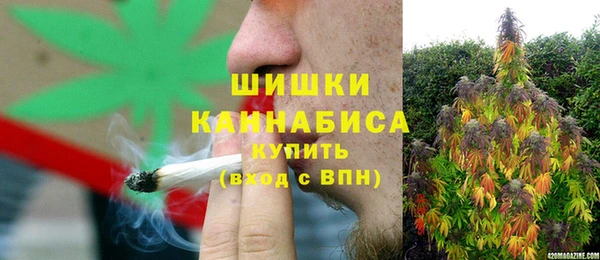 ГАЛЛЮЦИНОГЕННЫЕ ГРИБЫ Горняк