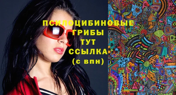 ГАЛЛЮЦИНОГЕННЫЕ ГРИБЫ Горняк