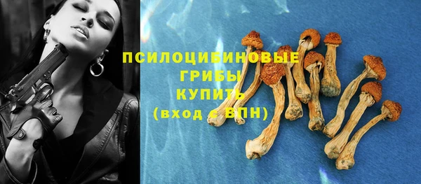 прущий лед Горно-Алтайск
