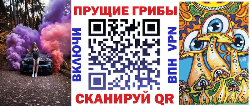 блэк спрут сайт Гусиноозёрск Галлюциногенные грибы Magic Shrooms